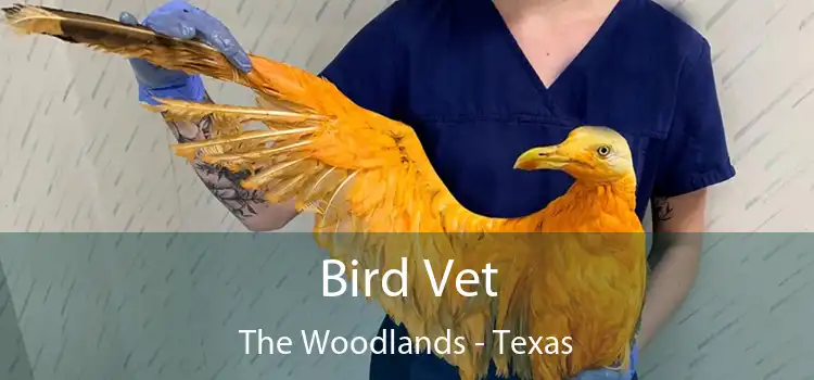 Bird Vet The Woodlands - Texas