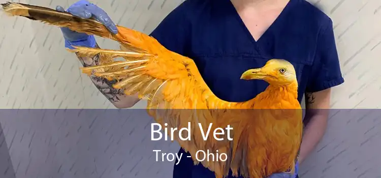 Bird Vet Troy - Ohio