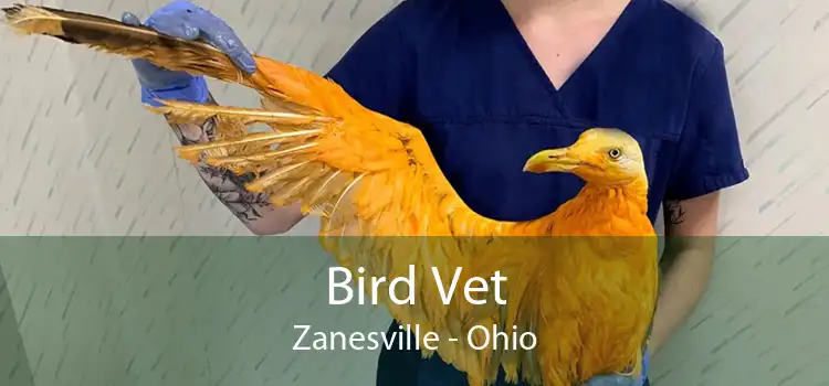 Bird Vet Zanesville - Ohio