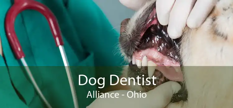 Dog Dentist Alliance - Ohio