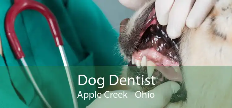 Dog Dentist Apple Creek - Ohio