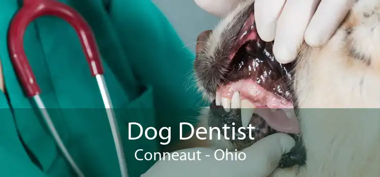 Dog Dentist Conneaut - Ohio