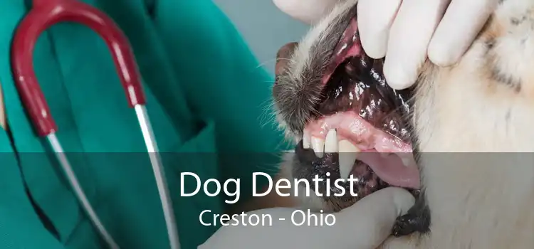 Dog Dentist Creston - Ohio