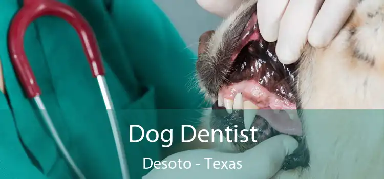 Dog Dentist Desoto - Texas