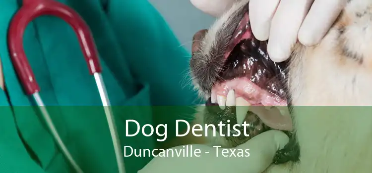 Dog Dentist Duncanville - Texas
