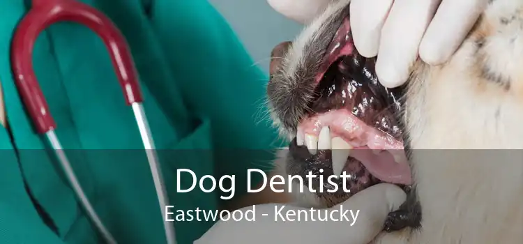 Dog Dentist Eastwood - Kentucky