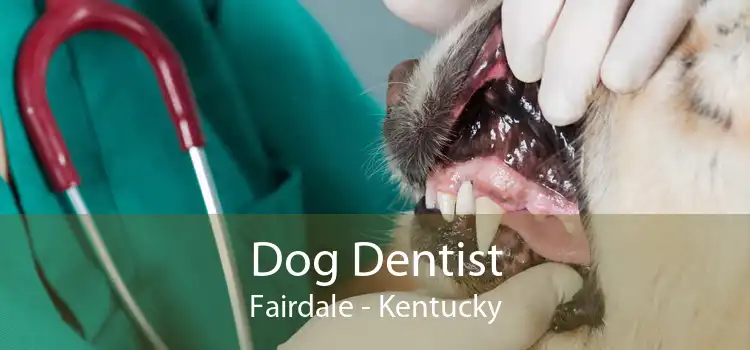 Dog Dentist Fairdale - Kentucky