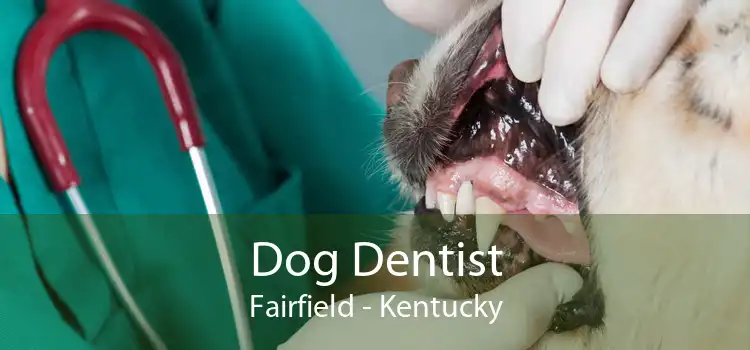 Dog Dentist Fairfield - Kentucky