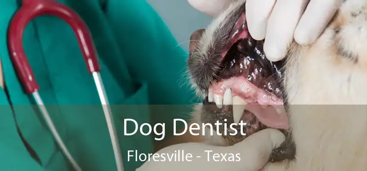 Dog Dentist Floresville - Texas