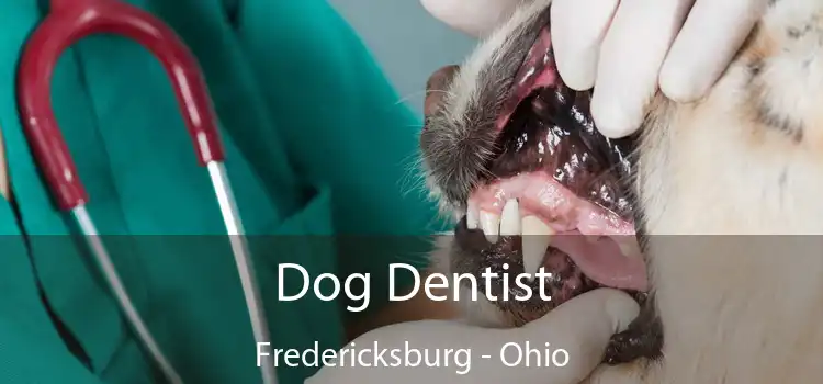 Dog Dentist Fredericksburg - Ohio