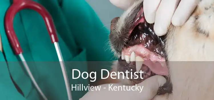 Dog Dentist Hillview - Kentucky
