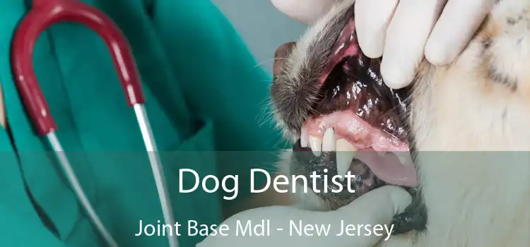 Dog Dentist Joint Base Mdl - New Jersey