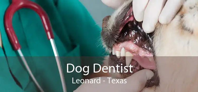 Dog Dentist Leonard - Texas