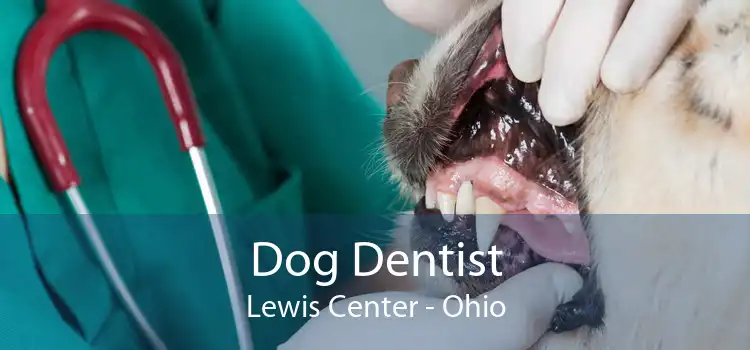 Dog Dentist Lewis Center - Ohio