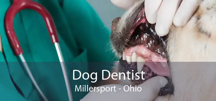 Dog Dentist Millersport - Ohio