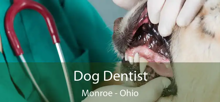 Dog Dentist Monroe - Ohio