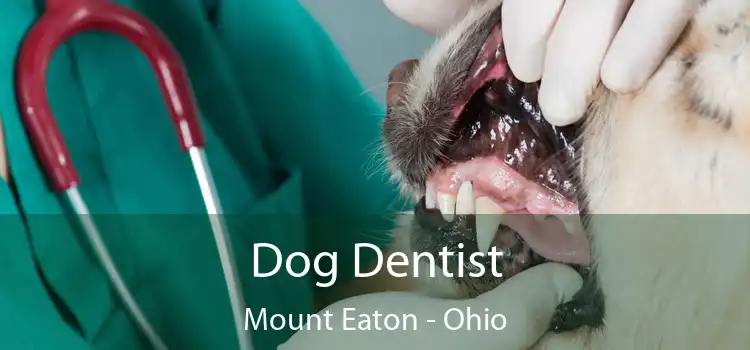 Dog Dentist Mount Eaton - Ohio