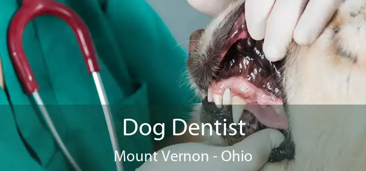 Dog Dentist Mount Vernon - Ohio