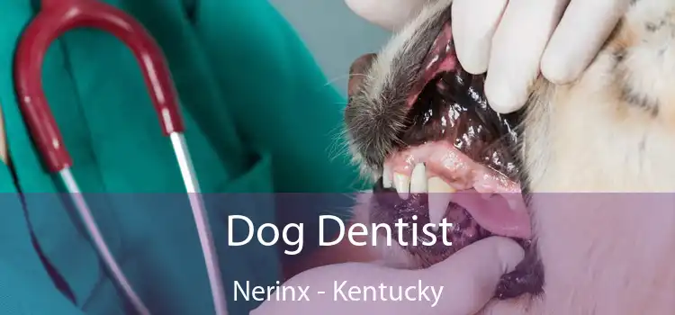 Dog Dentist Nerinx - Kentucky