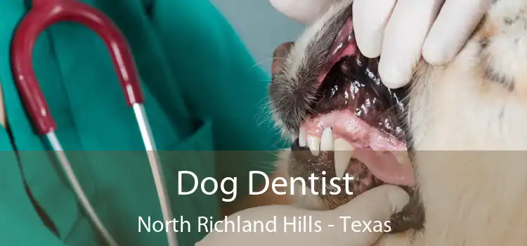 Dog Dentist North Richland Hills - Texas