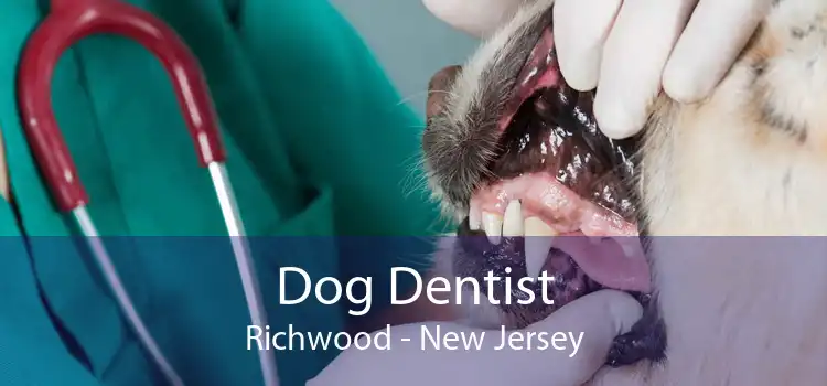 Dog Dentist Richwood - New Jersey