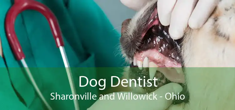 Dog Dentist Sharonville and Willowick - Ohio