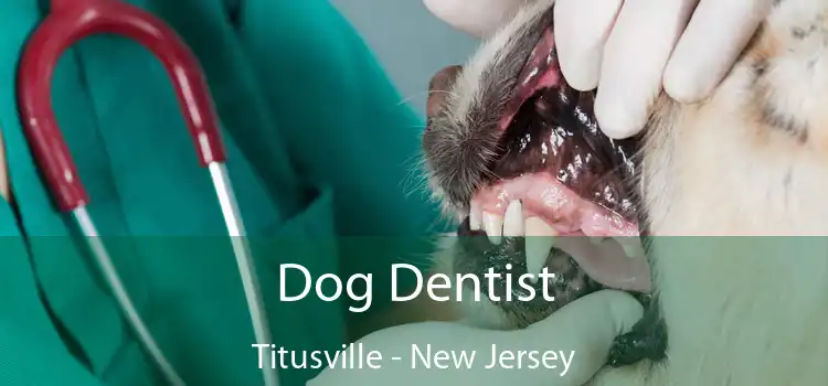 Dog Dentist Titusville - New Jersey