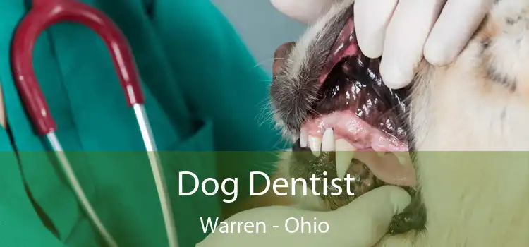 Dog Dentist Warren - Ohio
