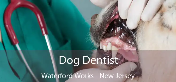 Dog Dentist Waterford Works - New Jersey