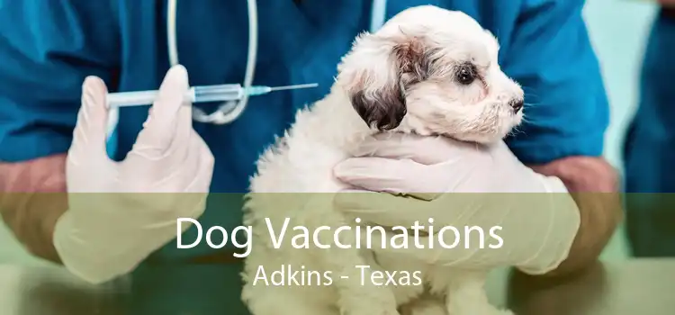 Dog Vaccinations Adkins - Texas