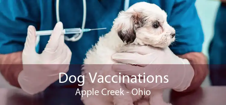 Dog Vaccinations Apple Creek - Ohio