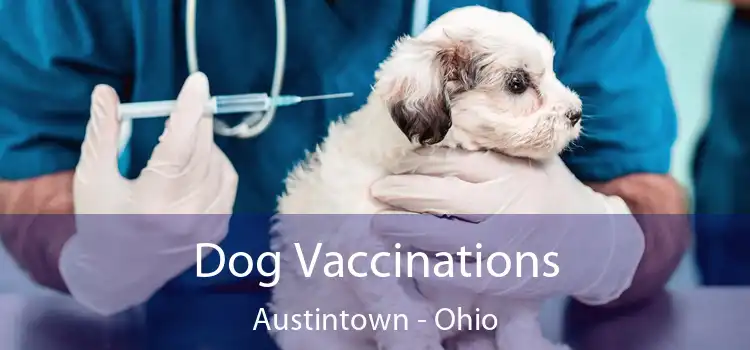 Dog Vaccinations Austintown - Ohio
