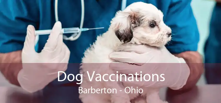 Dog Vaccinations Barberton - Ohio