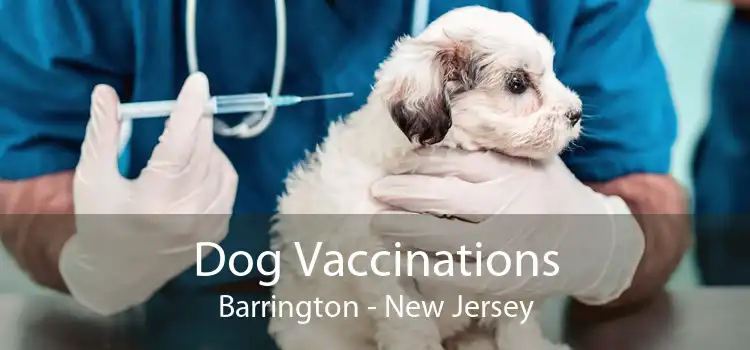 Dog Vaccinations Barrington - New Jersey