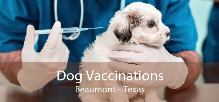 Dog Vaccinations Beaumont - Texas