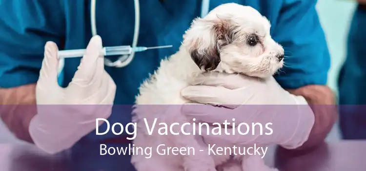 Dog Vaccinations Bowling Green - Kentucky