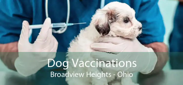 Dog Vaccinations Broadview Heights - Ohio