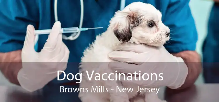 Dog Vaccinations Browns Mills - New Jersey