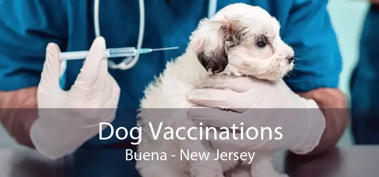 Dog Vaccinations Buena - New Jersey