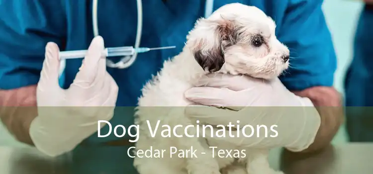 Dog Vaccinations Cedar Park - Texas