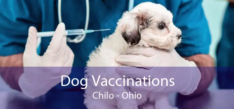 Dog Vaccinations Chilo - Ohio