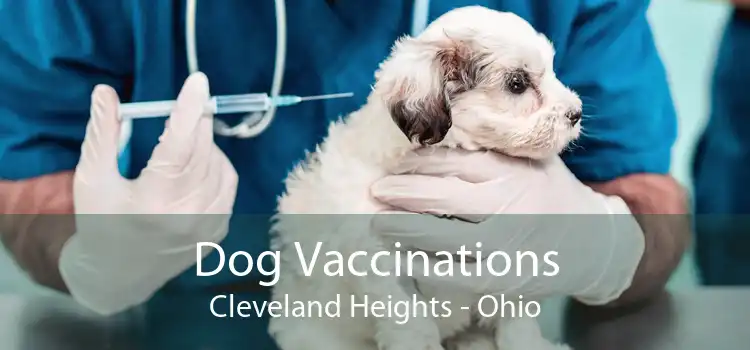 Dog Vaccinations Cleveland Heights - Ohio