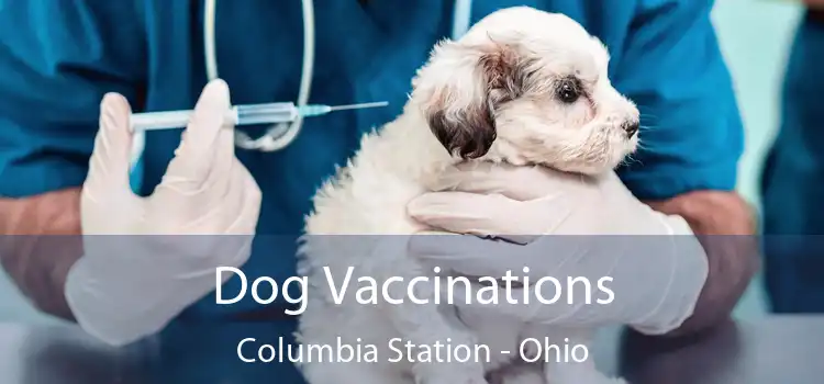 Dog Vaccinations Columbia Station - Ohio