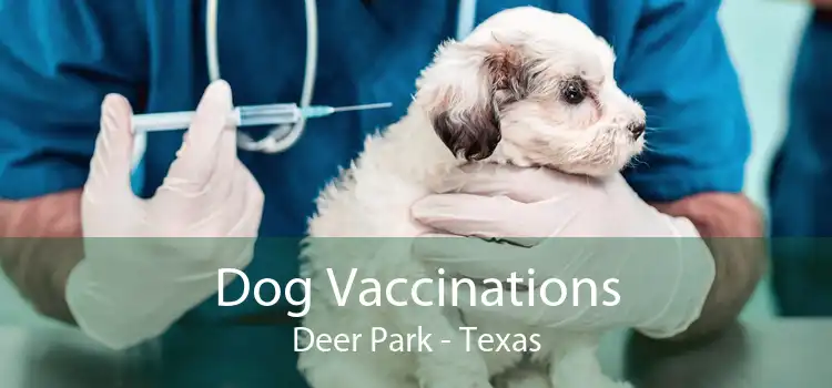 Dog Vaccinations Deer Park - Texas