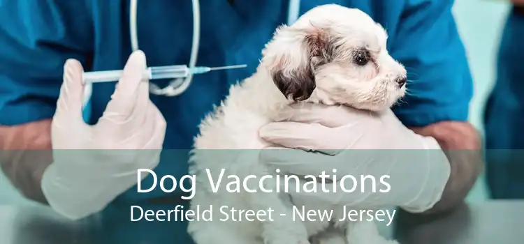 Dog Vaccinations Deerfield Street - New Jersey