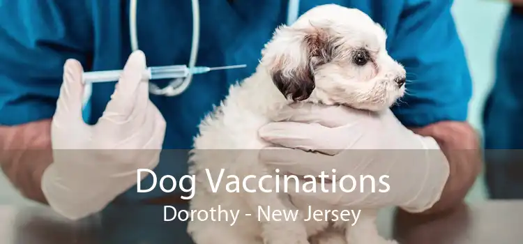 Dog Vaccinations Dorothy - New Jersey