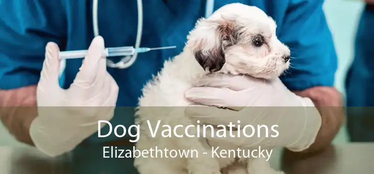 Dog Vaccinations Elizabethtown - Kentucky