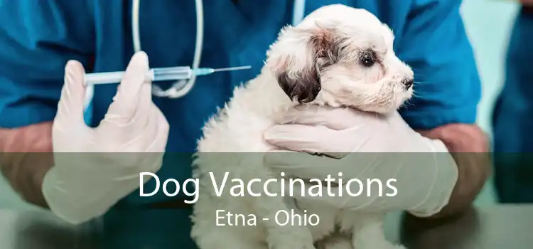Dog Vaccinations Etna - Ohio