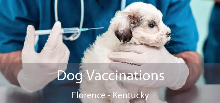 Dog Vaccinations Florence - Kentucky