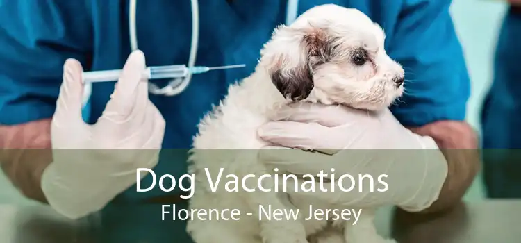 Dog Vaccinations Florence - New Jersey